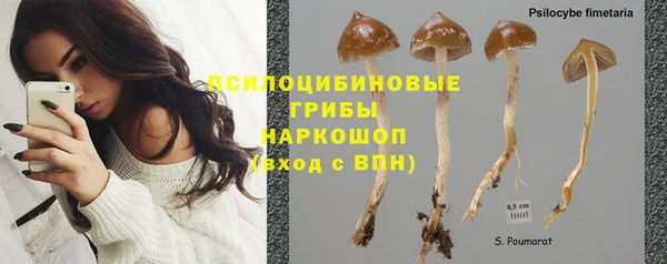 Альфа ПВП Алзамай