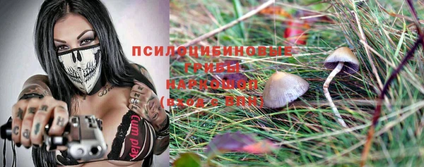 Альфа ПВП Алзамай