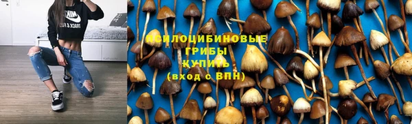 Альфа ПВП Алзамай